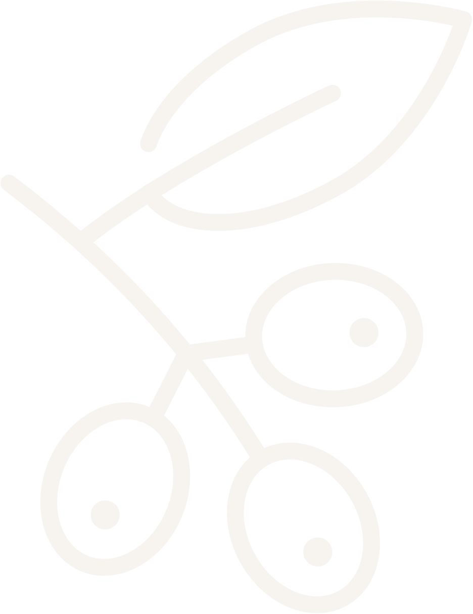 Takje